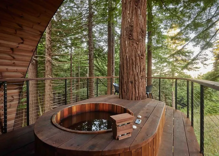 ~* The Spectacular Spyglass Treehouse *~